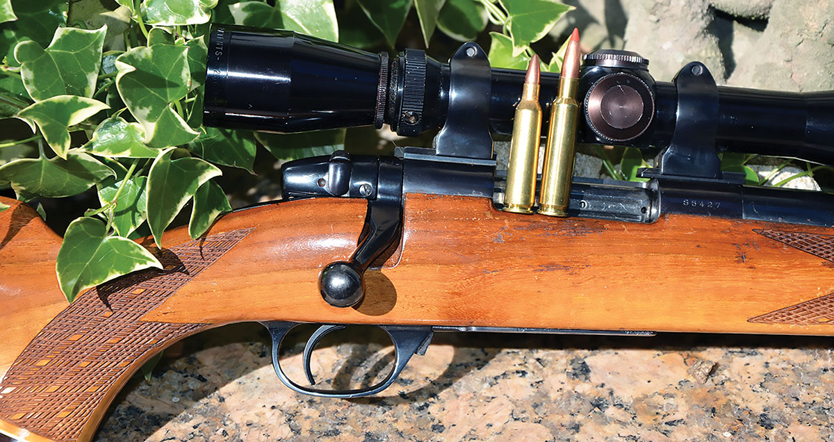 Originally in 22-250 Remington (left), the action of this Weatherby VarmintMaster was modified for the 7mm-308 Improved (right).